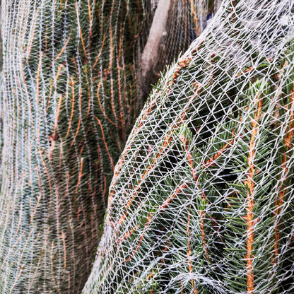 LZ Tape Tree Netting