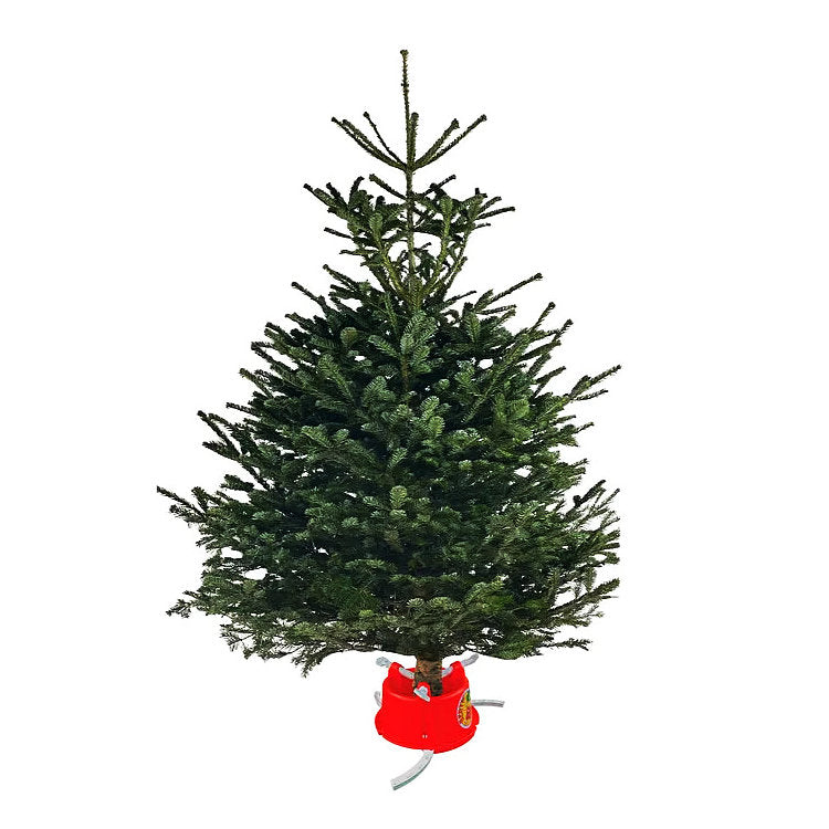 Plastic Christmas Tree Stand - Bertie Red/White