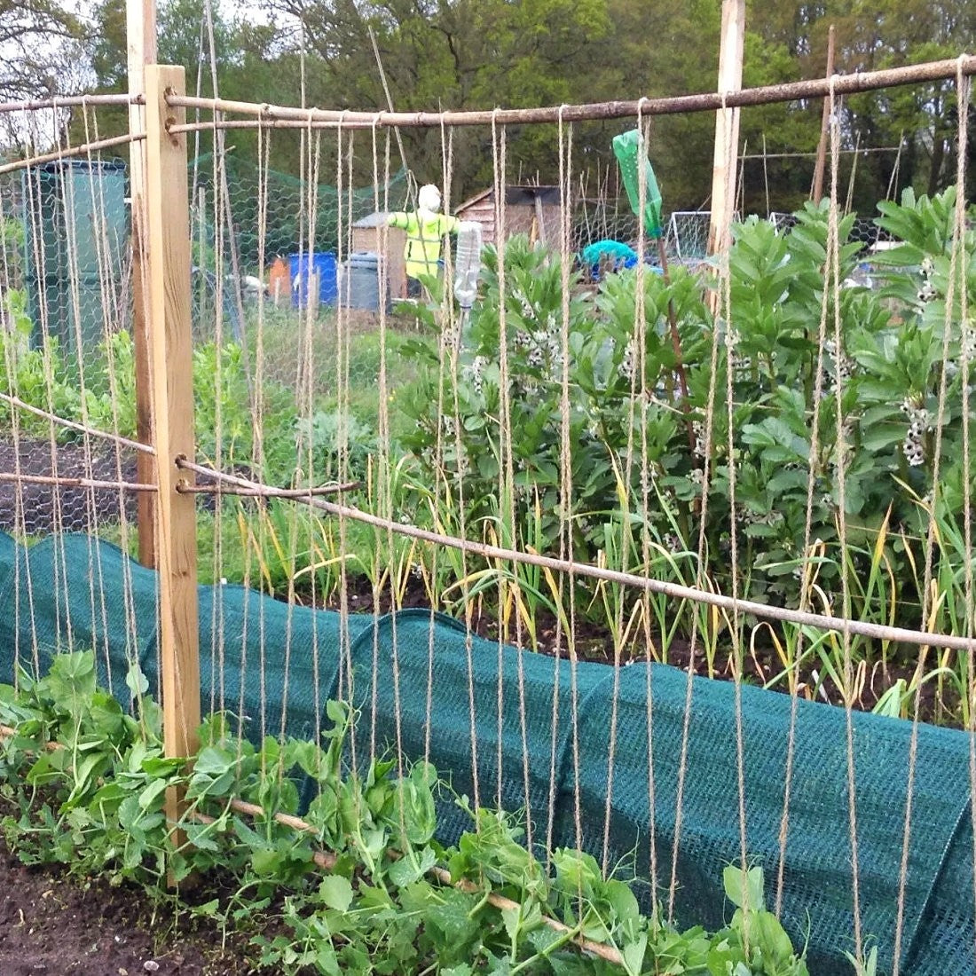 Natural Jute Twine for gardens and allotments